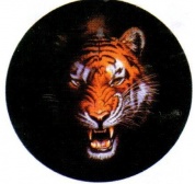 Виниловая наклейка круглая Тигр GRC 5799 цветная
