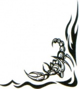 Виниловая наклейка Скорпион 1 GRC 5556 серебряная на 2 стороны