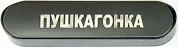Автовизитка "Стандарт Пушкагонка" TPCB 025 со скрываемым номером комплект магнитных цифр (можно менять номера)