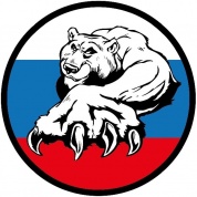 Наклейка виниловая "РУС Триколор Медведь большой" VRC 250-101 цветная