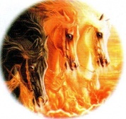 Виниловая наклейка круглая Лошади GRC 4999 цветная