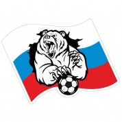 Виниловая наклейка Медведь с мячом VRC 606-12