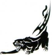 Виниловая наклейка Пантера GRC 5562 серебряная на 2 стороны