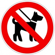 Виниловая наклейка Знак C животными запрещено VRO007 пленка