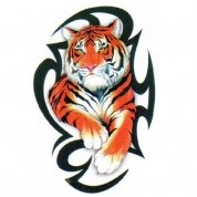 Виниловая наклейка Тигр 2 GRC 5414 полноцветная на 2 стороны