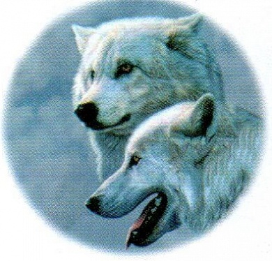 Виниловая наклейка круглая Волк № 3 GRC 4998 цветная