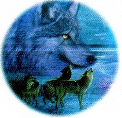 Виниловая наклейка круглая Волк № 2 GRC 4997 цветная