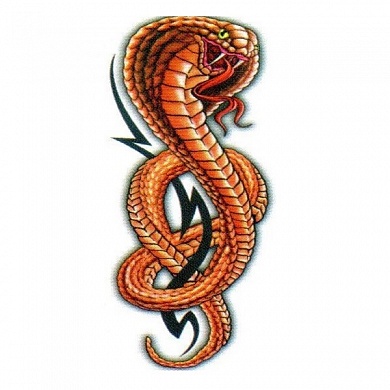 Виниловая наклейка Змея GRC 5800 полноцветная