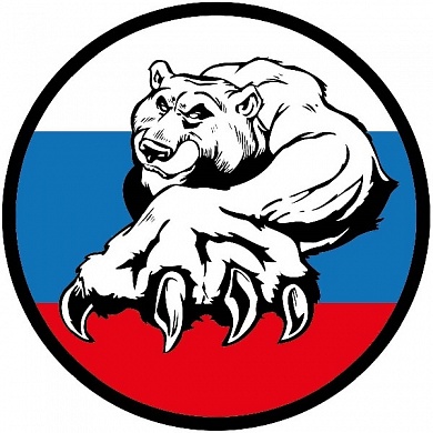 Виниловая наклейка РУС Триколор Медведь VRC 250-10 цветная